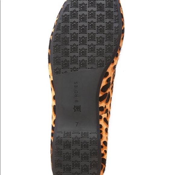 Birdies Cheetah The Starling - Picture 3 of 6